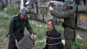 纳粹超人 在线观看,揭示极权主义下的疯狂幻想  第1张