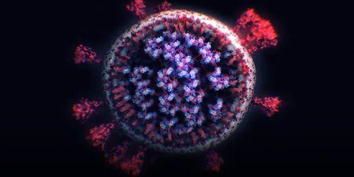 新冠源头爆料最新,最新爆料揭示病毒起源之谜  第3张